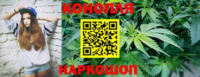 mdpv Кингисепп