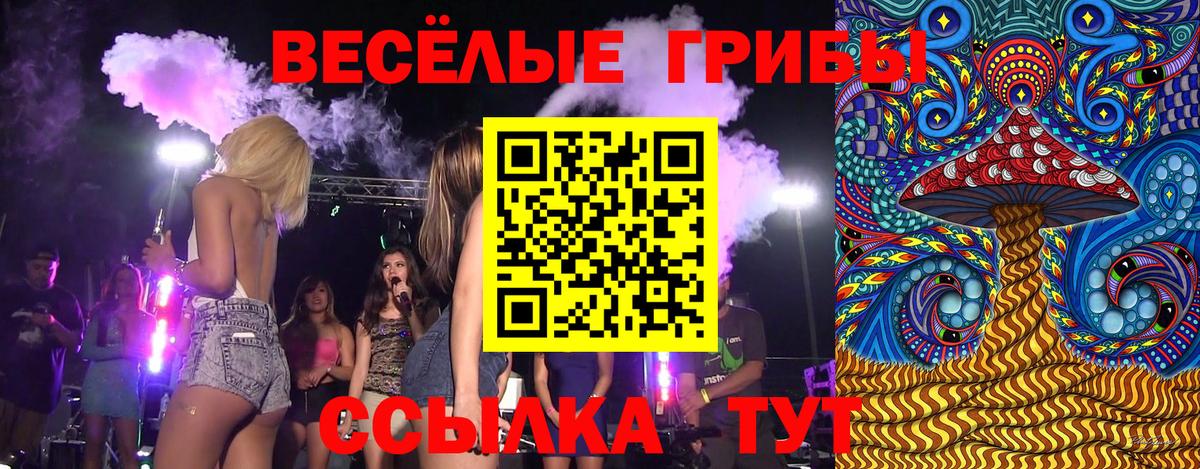 Галлюциногенные грибы Cubensis  Вход с VPN  Псилоцибиновые грибы Cubensis  где купить наркоту  Кстово 